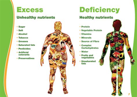 Exploring the Physique and Dietary Habits of the Resplendent Individual