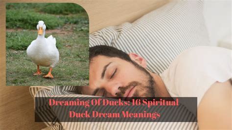 Exploring the Possible Emotional Connections Behind Dreaming of Duck Attacks