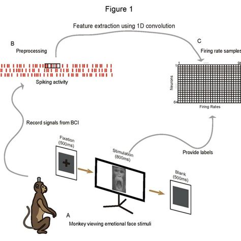 Exploring the Possible Emotions Evoked By Dreams of Monkey Attacks