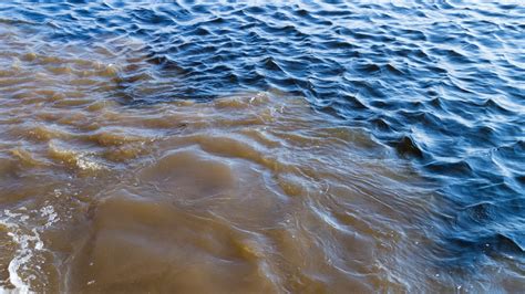 Exploring the Possible Meanings of Different Shades of Muddy Water