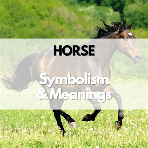 Exploring the Possible Origins of the Equine Symbolism