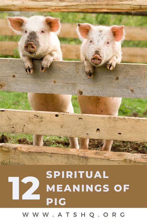 Exploring the Potential Spiritual and Mystical Significance of Swine Vision