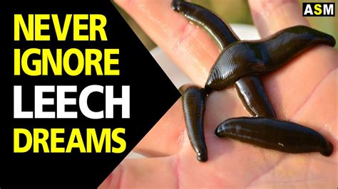 Exploring the Potential for Growth and Change in Leech Dreams: Healing and Transformation