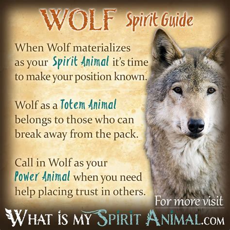 Exploring the Power of the Wolf Symbol