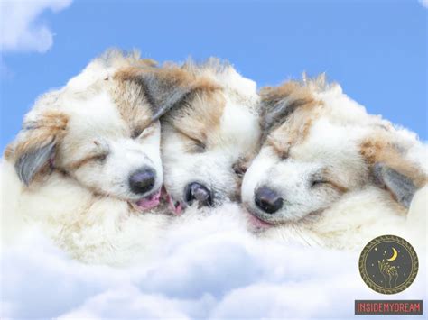 Exploring the Profound Meaning of Puppies in Delving into Dream Interpretation