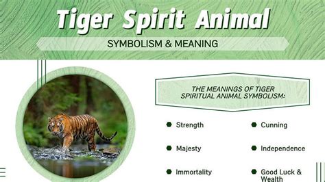 Exploring the Profound Significance of the Golden Tiger: A Spiritual and Cultural Journey