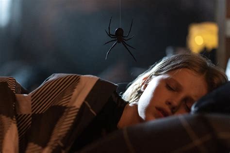 Exploring the Psychological Aspects of Nightmares Infested with Spiders