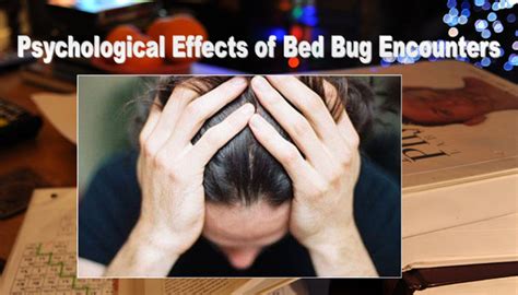 Exploring the Psychological Effects of Bed Bug Dream Encounters