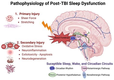 Exploring the Psychological Factors Influencing These Night-Time Visions