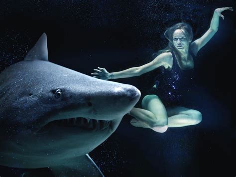 Exploring the Psychological Impact of Dreams Involving Shark Encounters