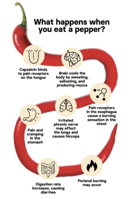 Exploring the Psychological Impact of Fiery Foods and the Chili Pepper