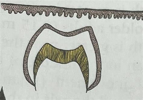 Exploring the Psychological Implications of Ants Emerging from the Oral Cavity