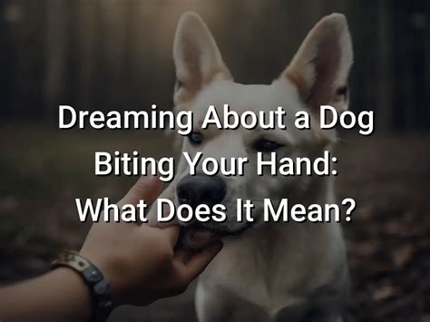 Exploring the Psychological Insights into Dreaming About Hand Biting