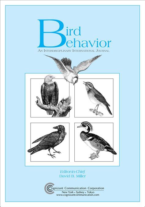 Exploring the Psychological Interpretations of Avian Aggression