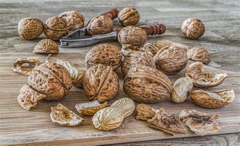 Exploring the Psychological Interpretations of Walnut Symbolism in Dreams