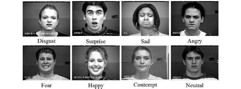 Exploring the Psychological Significance: Analyzing the Depiction of Fear in Facial Expressions