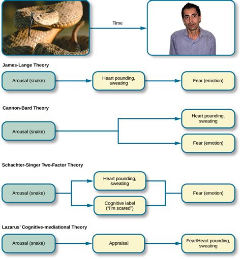 Exploring the Psychological Significance: Gaining Insight into the Emotional and Cognitive Dimensions of Dreams featuring Snake Scorpions