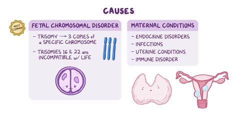 Exploring the Psychological Significance Associated with Visions of Haemorrhagic Spontaneous Abortion