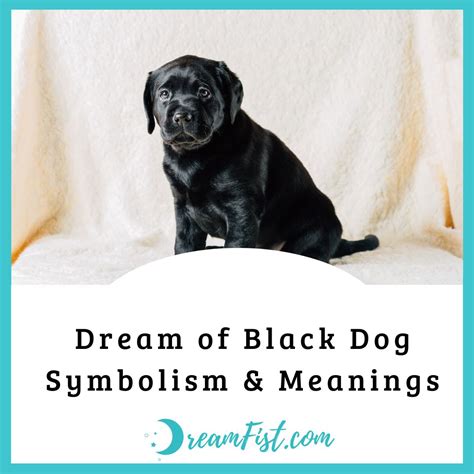 Exploring the Psychological Significance of Black Canine Pursuit in Dreams