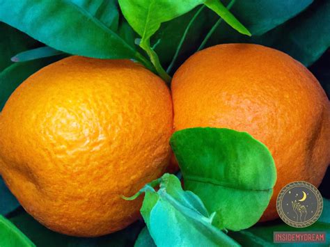 Exploring the Psychological Significance of Dreams Featuring Oranges