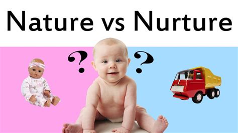 Exploring the Psychological Significance of Nurturing an Infant Male