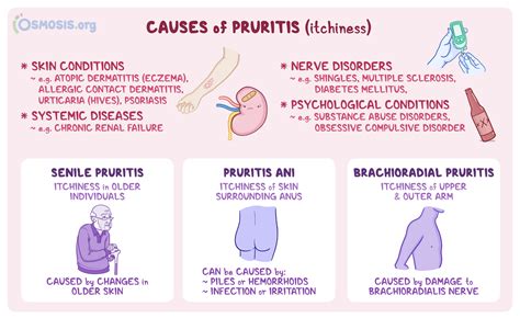 Exploring the Psychological Significance of Pruritic Dermatitis Vision