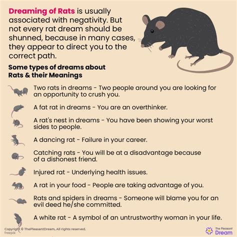 Exploring the Relationship Dynamics Uncovered in Dreams Featuring Rats and Spiders