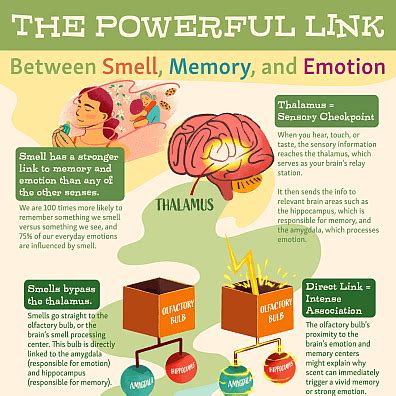 Exploring the Relationship between Smell and Emotional States