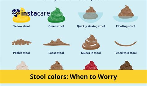 Exploring the Relationship between Yellow Stool and Dietary Factors