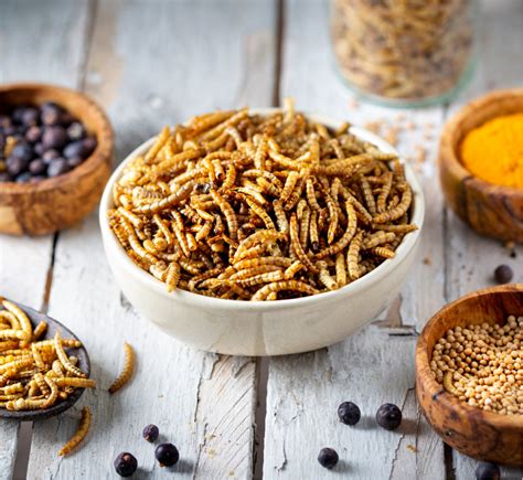 Exploring the Role of Edible Insects in Diverse Culinary Traditions