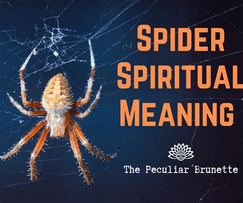 Exploring the Significance: Unveiling the Symbolism Behind Spider Eggs Blossoming