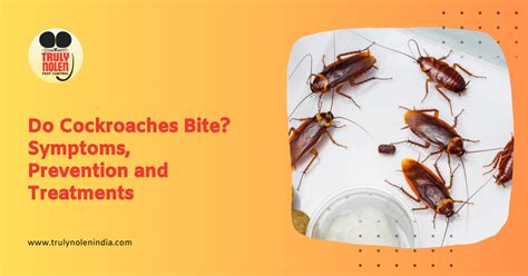 Exploring the Significance and Exegesis of Cockroach Bites