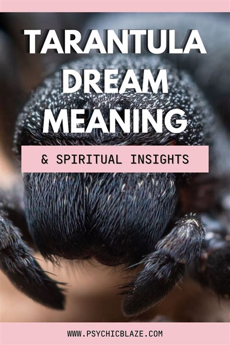 Exploring the Significance and Messages of Dreams featuring the Tarantula Spider