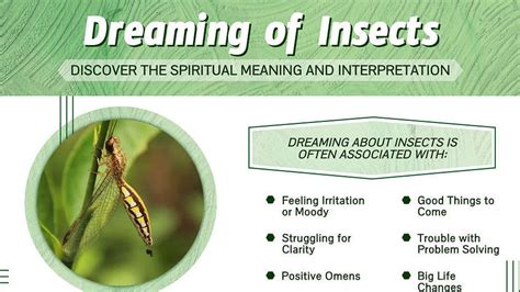 Exploring the Significance and Symbolism of a Constantly Humming Insect in Dreams