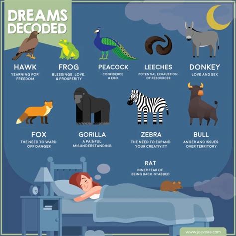 Exploring the Significance of Animal Dreams