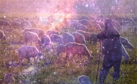 Exploring the Significance of Being Bitten by a Sheep in Dreams