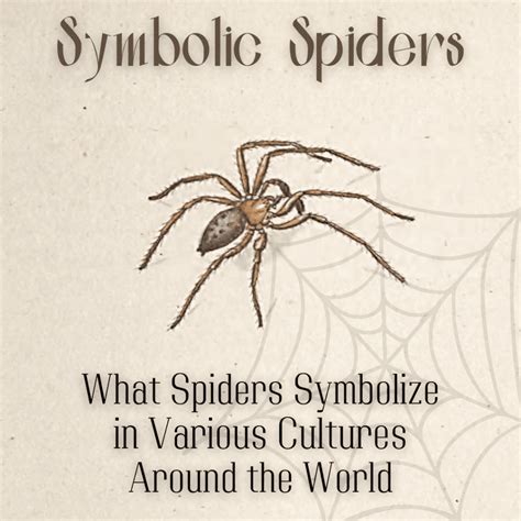 Exploring the Significance of Capturing Spiders: Decoding their Symbolic Meaning