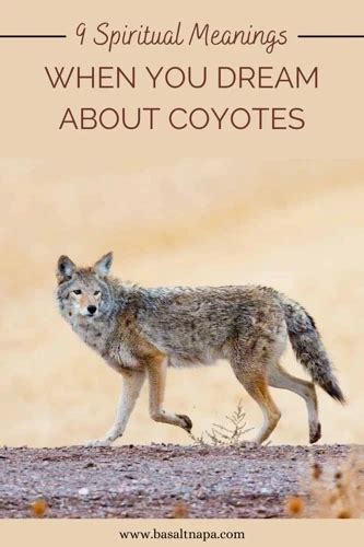 Exploring the Significance of Coyote Encounters in Dreams