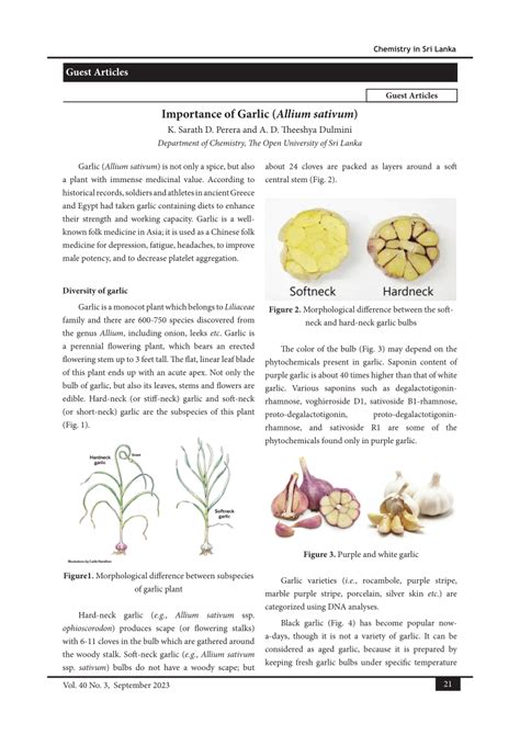 Exploring the Significance of Decaying Allium sativum in Personal Development and Inner Exploration