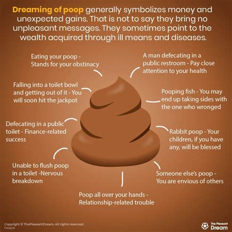 Exploring the Significance of Dreams Involving Feces in the Toilet