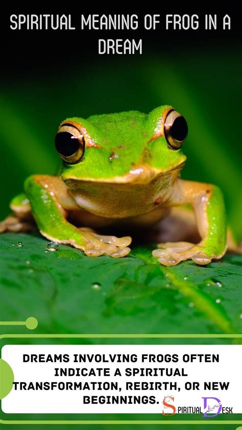 Exploring the Significance of Dreams Involving Frog Reproduction