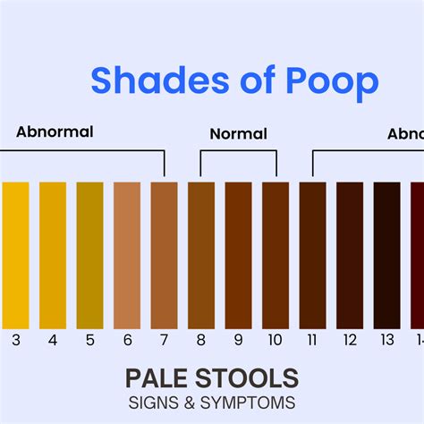 Exploring the Significance of Pale Stools: Understanding the Causes, Decoding Symbolism, and Assessing the Impact on Overall Well-being