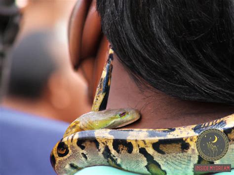 Exploring the Significance of Snake Choking Experiences through Personal Narratives