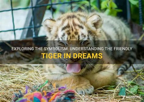 Exploring the Significance of Tigers in Dreams