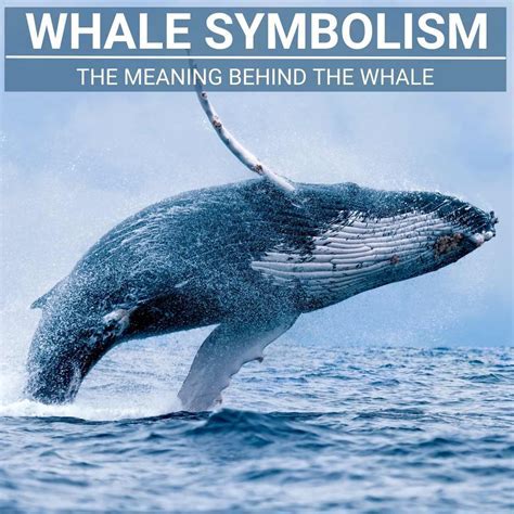 Exploring the Significance of Whales Present in the Domestic Environment in Dream Interpretation