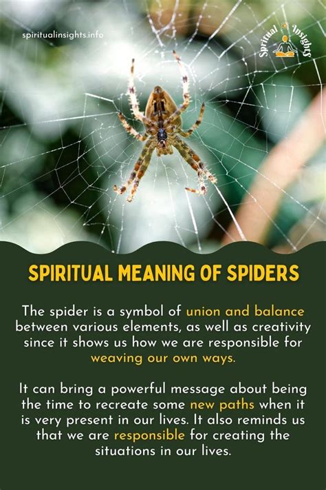 Exploring the Significance of the Colors in Spider Symbolism