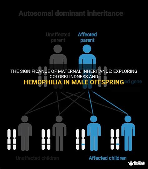 Exploring the Significance of the Maternal Figure