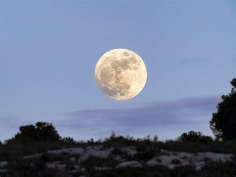 Exploring the Significance of the Moon in Cultures Worldwide