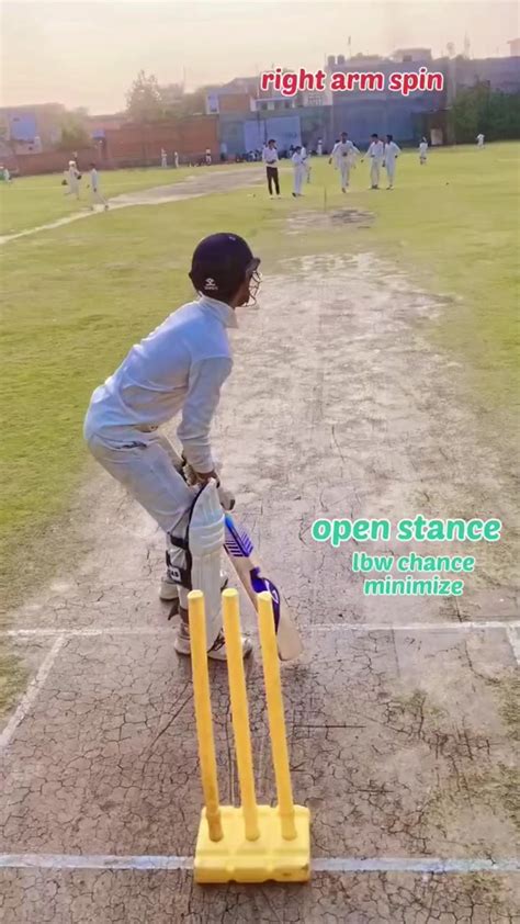 Exploring the Skills of the Cricket Star