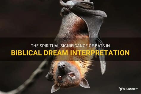 Exploring the Spiritual Significance of Bat Dream Interpretation